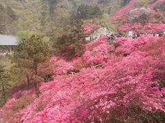 -木兰云雾山