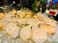 大连鲍鱼-德米火锅(深圳湾1号旗舰店)