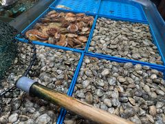 -双合园·海鲜水饺青岛菜(万佳广场店)