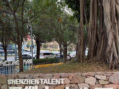 -深圳人才公园