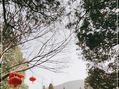-香山公园