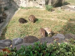 -上海野生动物园