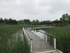 -同里国家湿地公园