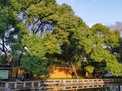 -西园戒幢律寺