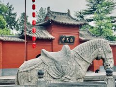 -洛阳白马寺