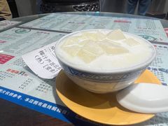 椰汁芦荟双皮奶-仁信双皮奶(庙前直街店)