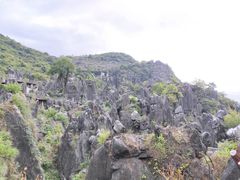-玉石林风景区
