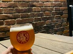 -Boxing Cat Brewery拳击猫精酿啤酒馆(永福店)