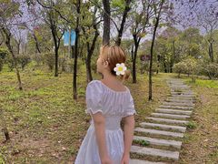 -聚龙山公园