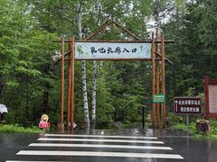 -汤旺河林海奇石景区
