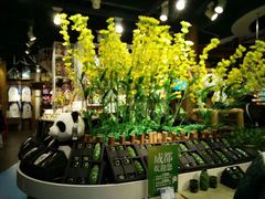 -熊猫屋(宽窄巷子景区店)