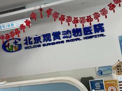 -北京观赏动物医院·24小时大型综合·猫专科·异宠专科