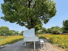 -鹅湖玫瑰文化园