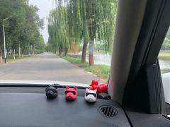 -尚庄度假村·庭台树下·户外烧烤·团建CS·轰趴营地(上庄水库店)