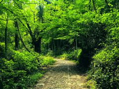 -会稽山峡洞漂流-上青古道
