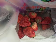 -乐乐鲜果水果超市(河北店)