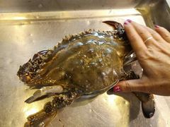 -北塘海鲜·天津菜(大光明桥旗舰店)