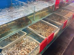 -华盛丰温州大排档(东三环南路店)