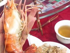 -大湾区中央湿地公园-十九涌