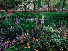 -上海共青森林公园