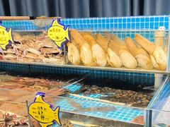 -韩记海鲜饺子旗舰店(红海新区店)