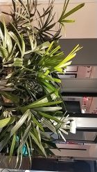 点击看大图 -印·Style造型创始店