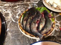 -蜀辣居鲜货老火锅(红牌楼店)
