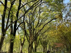 -杭州半山国家森林公园