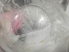 餐具摆设-虾饺妹·酒家(金碧店)