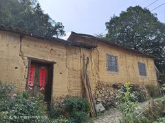 -杨家堂村