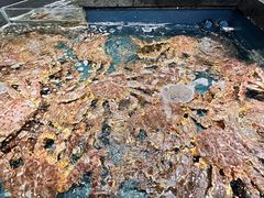 -龙宴海鲜城(经中路店)