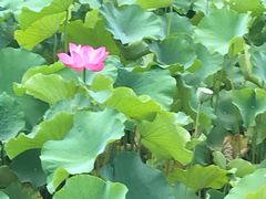 -四川大学(华西校区)