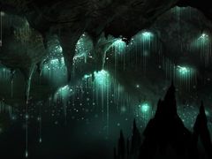 -怀托摩萤火虫洞