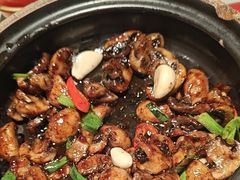 -恭喜上堓砂锅焗·海鲜大排档(闵行龙湖店)