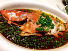东星斑-石浦大酒店(百丈店)