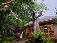 -Chom Cafe and Restaurant