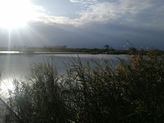 -盐城丹顶鹤湿地生态旅游区