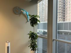 -安肯心理咨询(长宁旗舰店)