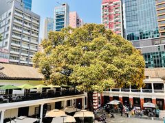 -大馆(前中区警署建築群)