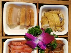 -老广酒楼(樱花店)