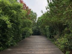 -鄱阳湖国家湿地公园