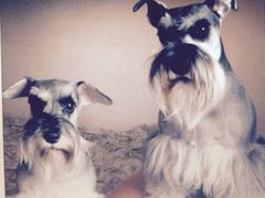 -北京恒爱动物医院(清景园分院)