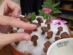 -禄婶鸡煲·打边炉