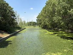 -同里国家湿地公园