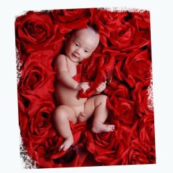 点击看大图 -Happy Baby Studio快乐宝贝儿童摄影