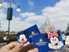 -上海迪士尼度假区