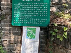 -阳台山自然风景区