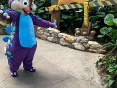 -奥兰多迪士尼动物王国乐园