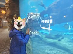-华夏文旅西安度假区