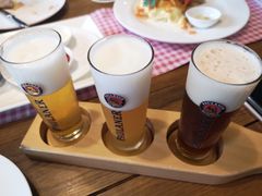 -Paulaner·德国帕拉娜自酿啤酒餐厅(海上世界店)